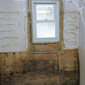 bathroom reno 1a before